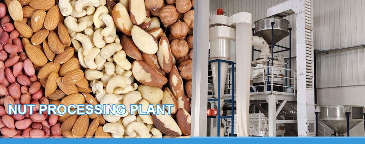 Nut Processing Plant