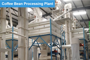 Coffee Bean Processing Plant